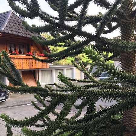 Pension Haus Rose Oberharmersbach Luaran gambar