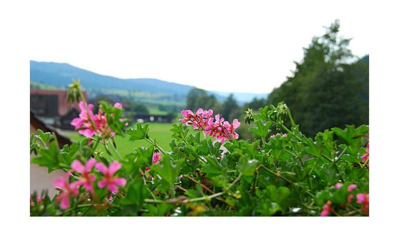 Pension Haus Rose Oberharmersbach Luaran gambar