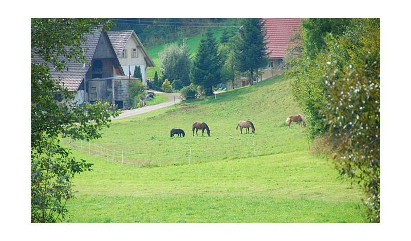 Pension Haus Rose Oberharmersbach Luaran gambar