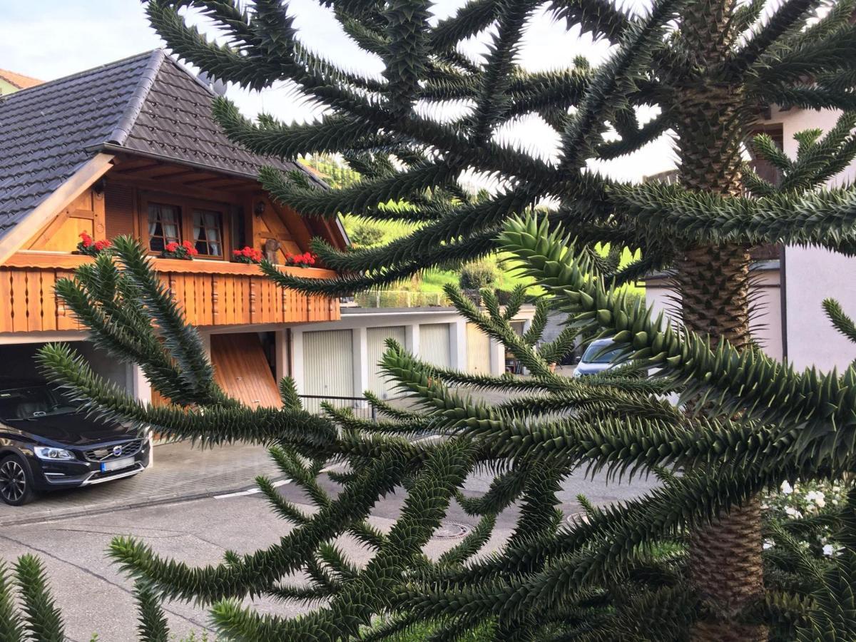 Pension Haus Rose Oberharmersbach Luaran gambar